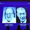 جایزه نوبل پزشکی 2018  به دو پژوهشگر درمان سرطان، تعلق خواهد گرفت